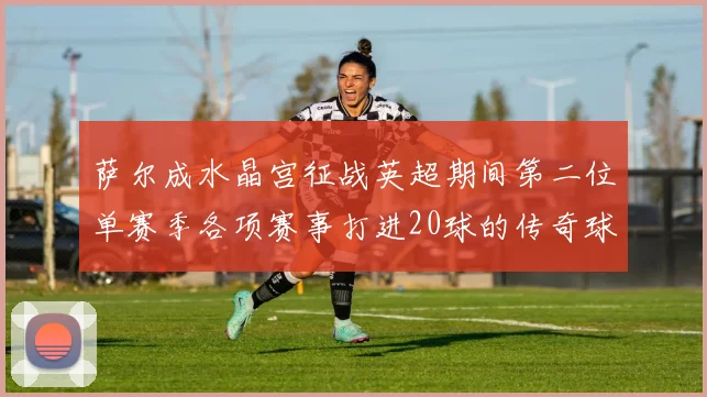 萨尔成水晶宫征战英超期间第二位单赛季各项赛事打进20球的传奇球员